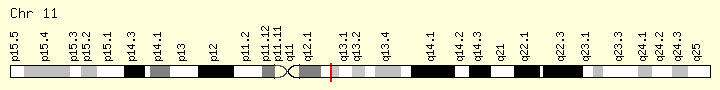 Genomic  for BEST1 Gene