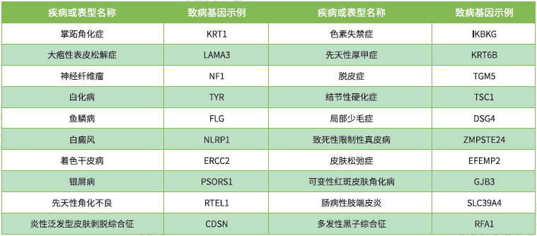 <b>【J9官网 J9基因检测</b>