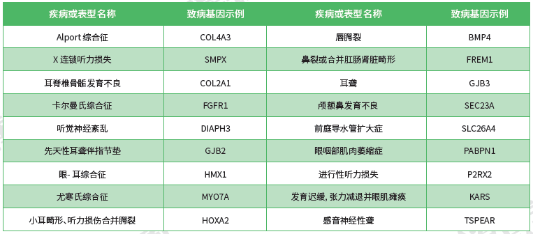 【J9官网 J9基因检测